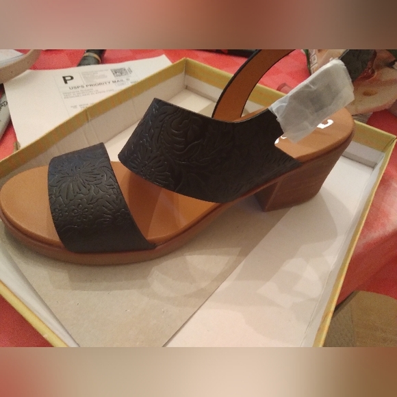 Beautiful Women's Shoe - Picture 3 of 3